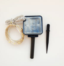 Load image into Gallery viewer, Solar Seed Lights