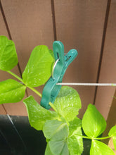 Load image into Gallery viewer, Uncle Jacks Plant Clips