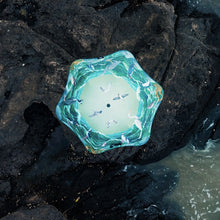 Load image into Gallery viewer, Forest & Bird Blunt Metro - 2025