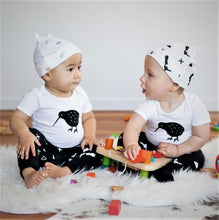 Load image into Gallery viewer, Kiwi Baby Hats