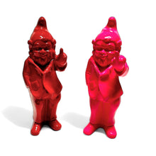 Load image into Gallery viewer, Rude Little Gnomes