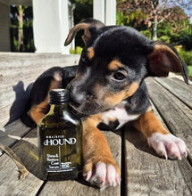 Load image into Gallery viewer, Shine & Restore Coat Serum by Holistic Hound
