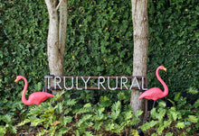 Load image into Gallery viewer, The original Featherstone Pink Flamingo