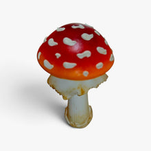 Load image into Gallery viewer, Mushroom Magnets