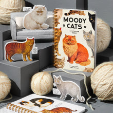 Load image into Gallery viewer, Moody Cat Stickers
