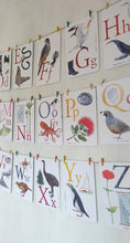 Load image into Gallery viewer, New Zealand Alphabet Art Cards