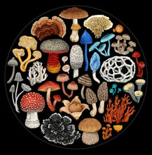 Load image into Gallery viewer, Mushrooms of New Zealand Puzzle by Tanya Wolfkamp