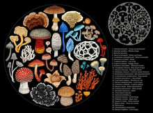 Load image into Gallery viewer, Mushrooms of New Zealand Puzzle by Tanya Wolfkamp