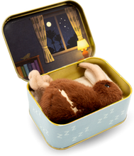 Load image into Gallery viewer, My Sleepy Little Kiwi - Kiwi Soft Toy in a Tin