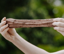 Load image into Gallery viewer, Kiwi and Kiwi Poo