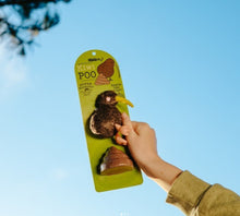 Load image into Gallery viewer, Kiwi and Kiwi Poo