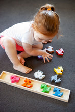 Load image into Gallery viewer, Wooden Kiwi Puzzles