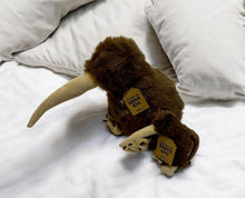 Load image into Gallery viewer, Barry the Little Brown Kiwi Soft Toy