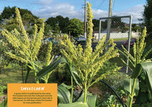 Load image into Gallery viewer, The Organic Gardeners Calendar - 2027