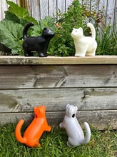 Load image into Gallery viewer, Cat Watering Cans