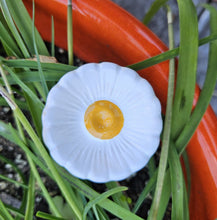 Load image into Gallery viewer, Insect Drinking Flower Bowls