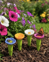 Load image into Gallery viewer, Insect Drinking Flower Bowls