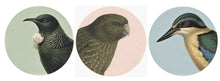 Load image into Gallery viewer, Pastel Bird Art Spots