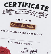 Load image into Gallery viewer, Cheeky Retro Enamel Badges