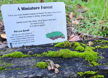 Load image into Gallery viewer, Exploring nature Fun Cards