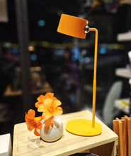 Load image into Gallery viewer, LED Touch Lamp