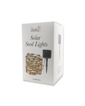 Load image into Gallery viewer, Solar Seed Lights