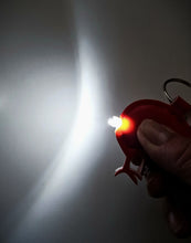 Load image into Gallery viewer, Kiwi Keyrings with a Torch