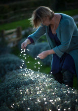 Load image into Gallery viewer, Solar Seed Lights
