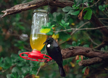 Load image into Gallery viewer, Nectar Bird Feeder and Nectar Food
