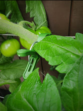 Load image into Gallery viewer, Uncle Jacks Plant Clips