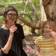 Load image into Gallery viewer, Nature Art Boxed Set