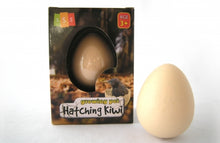 Load image into Gallery viewer, Hatching Kiwi
