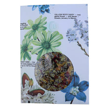 Load image into Gallery viewer, Anoint Gift Envelopes