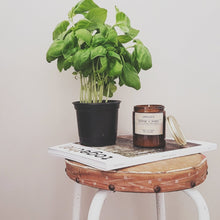 Load image into Gallery viewer, Amberjack Candles