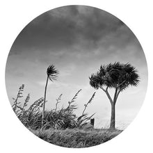 Load image into Gallery viewer, Art Spots- Black and White Images