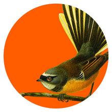 Load image into Gallery viewer, Art Spots - Bright Native Birds