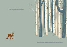 Load image into Gallery viewer, Hare and Ruru, A Quiet Moment & What Colour is The Sky & Moonlight Mission - Childrens Books