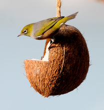 Load image into Gallery viewer, Coconut Bird Feeders
