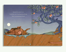 Load image into Gallery viewer, Hare and Ruru, A Quiet Moment & What Colour is The Sky & Moonlight Mission - Childrens Books