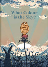 Load image into Gallery viewer, Hare and Ruru, A Quiet Moment & What Colour is The Sky & Moonlight Mission - Childrens Books
