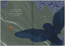 Load image into Gallery viewer, Hare and Ruru, A Quiet Moment & What Colour is The Sky & Moonlight Mission - Childrens Books