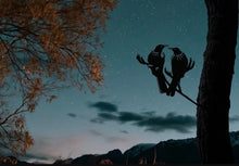 Load image into Gallery viewer, Metalbirds