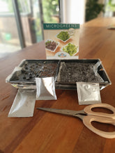 Load image into Gallery viewer, Microgreens - Seeds and Growing Tray (sold separately)