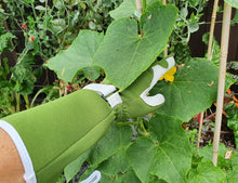 Load image into Gallery viewer, Long Sleeved Garden Gloves
