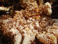 Load image into Gallery viewer, Niue Honey