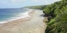 Load image into Gallery viewer, Niue Honey