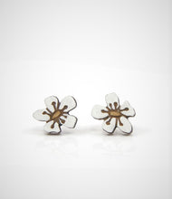 Load image into Gallery viewer, Pretty Manuka Flower Studs by Natty