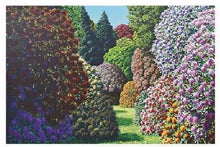 Load image into Gallery viewer, Karl Maughan Cushion Cover