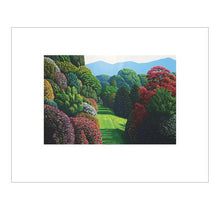 Load image into Gallery viewer, Karl Maughan, Modern NZ art, Realist kiwi art, Flower Art New Zealand, Riverhead,