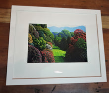 Load image into Gallery viewer, Karl Maughan, Modern NZ art, Realist kiwi art, Flower Art New Zealand, Riverhead,